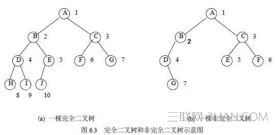 c语言 树的基础知识(必看篇) 三联