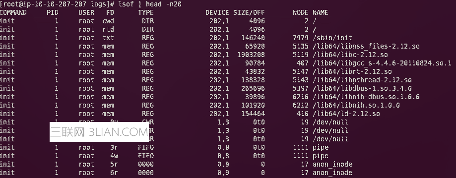 Linux lsof 命令使用详细说明 三联